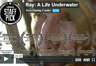 Ray: A Life Underwater
