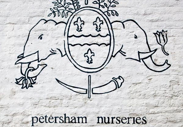 a sneaky visit to ‘Petersham Nurseries’