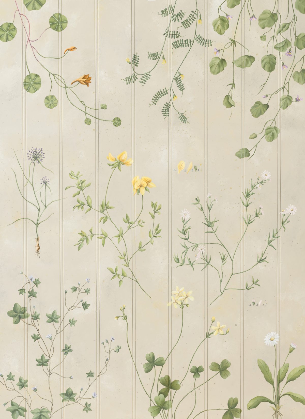 Soft suggestions of colour and the prettiest little flowers - we took inspiration from old botanical books here.