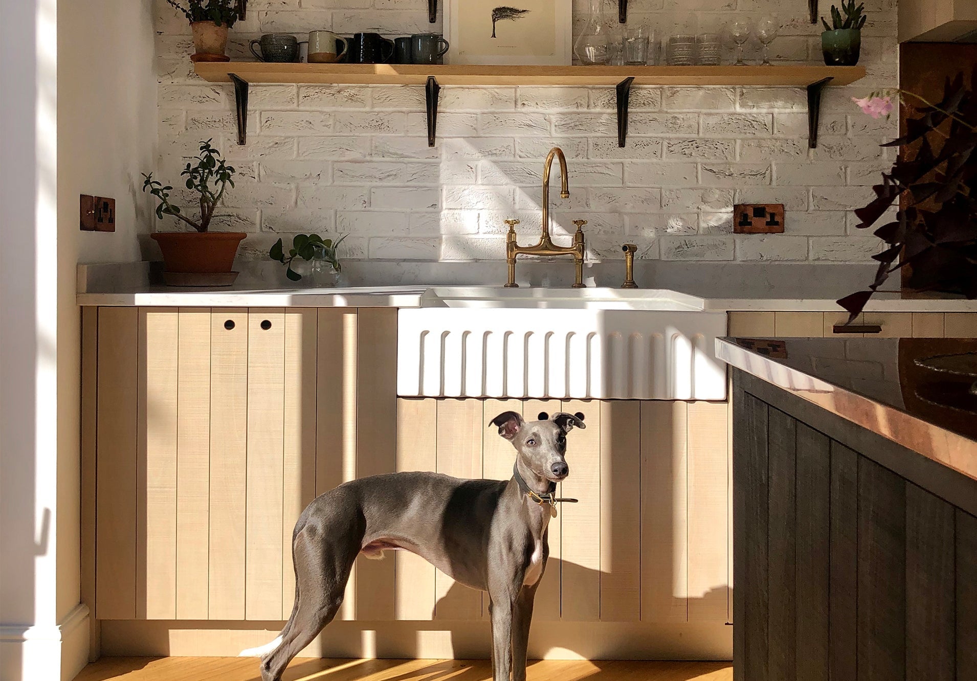 Sunshine and the coolest kitchen in Kew – deVOL Kitchens