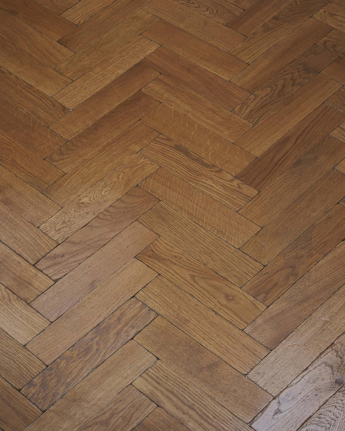 Chatsworth Oak Parquet - 2 3/4" x 11" (7/8" thick) TEST