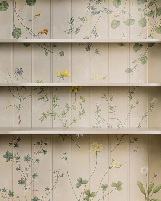 Wild Flowers