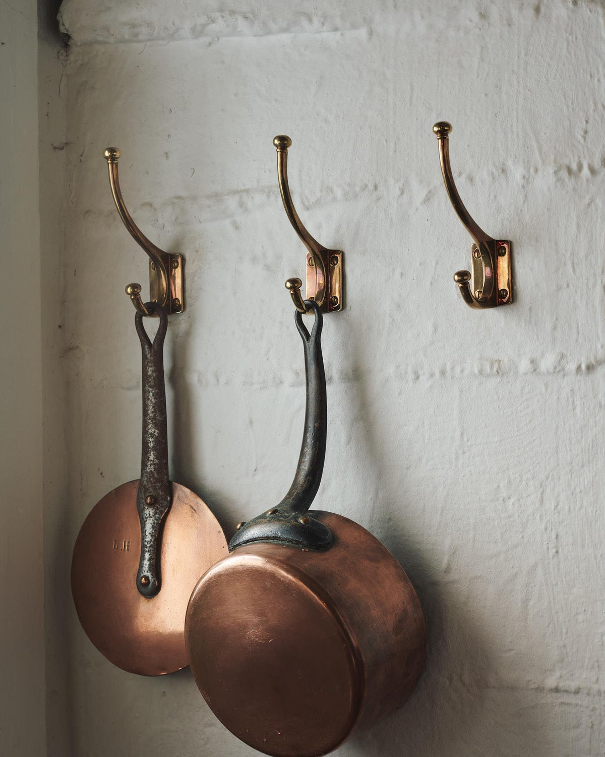 The Edwardian Coat Hook TEST