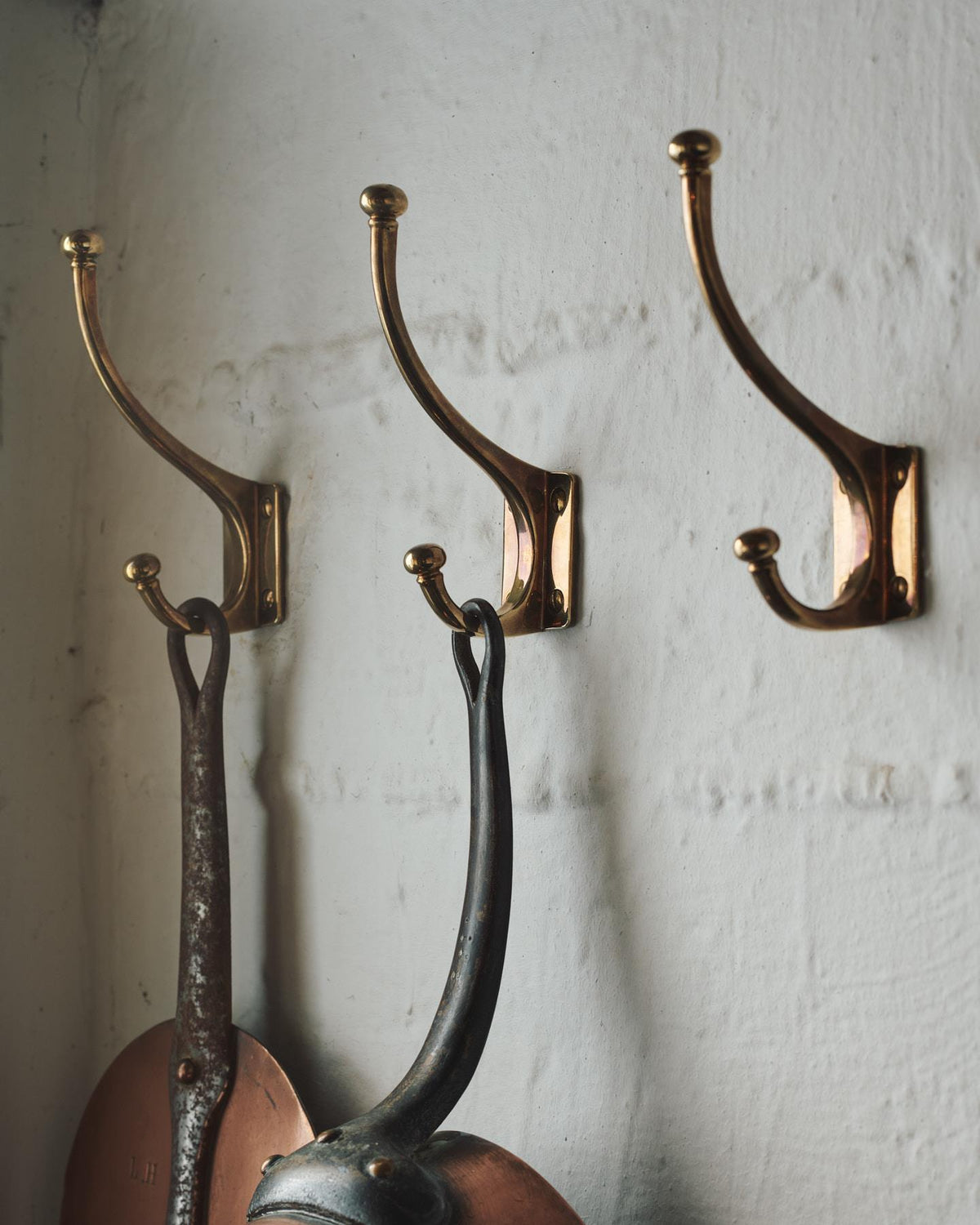 The Edwardian Coat Hook TEST