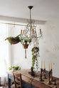 A beautiful dining room features a teal Millhouse refectory table with vintage wooden chairs, an array of brass candlesticks, a crystal chandelier, hanging plants and an intricate wild flower illustration wallpaper.
