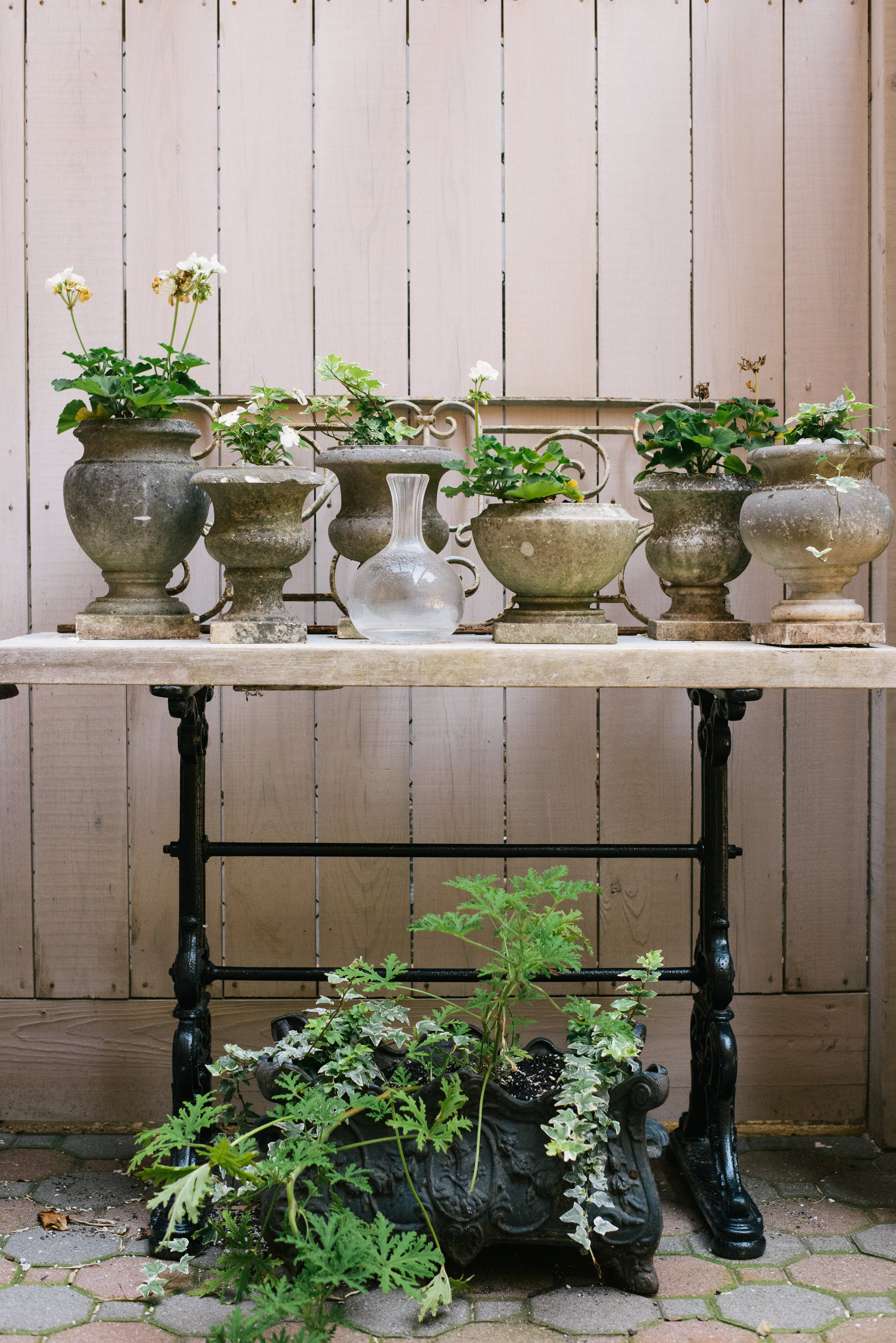 Gallery image 7
