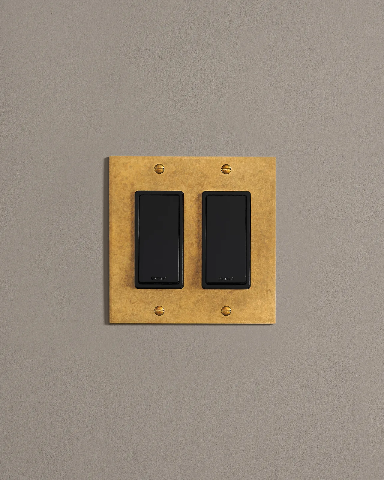 A straight-on view of a 2 gang cover plate in a warm burnished brass finish with a module.