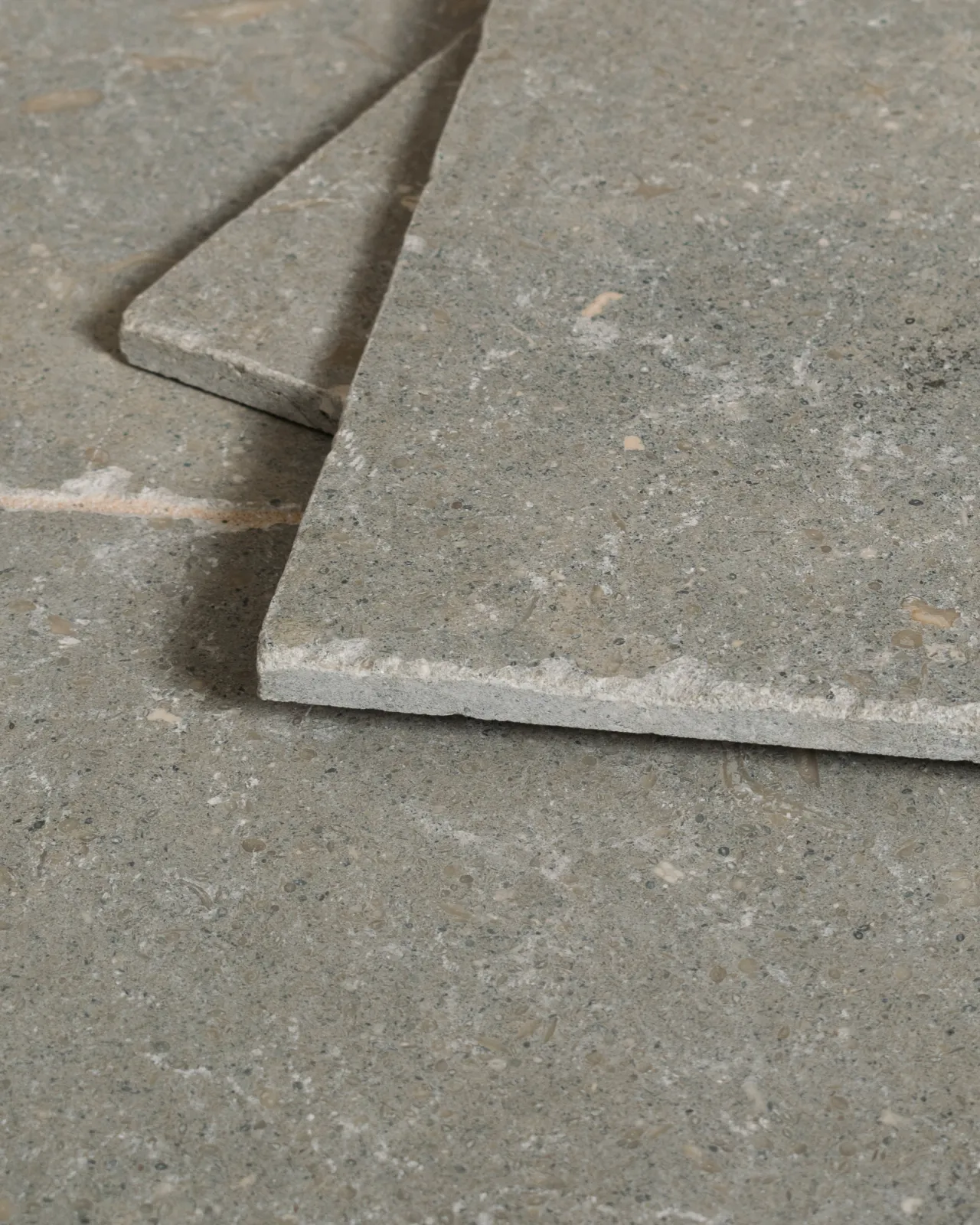 Two loose Seagrass Tumbled Limestone tiles.