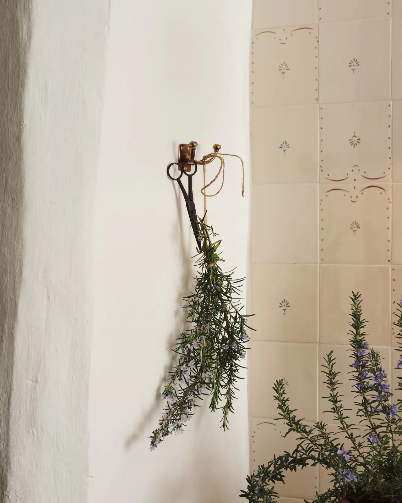 this is only an alt text placeholder.