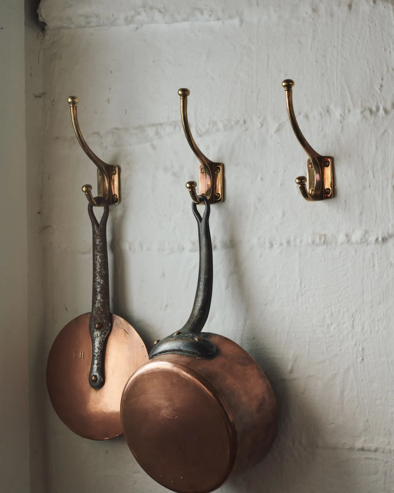 this is only an alt text placeholder.