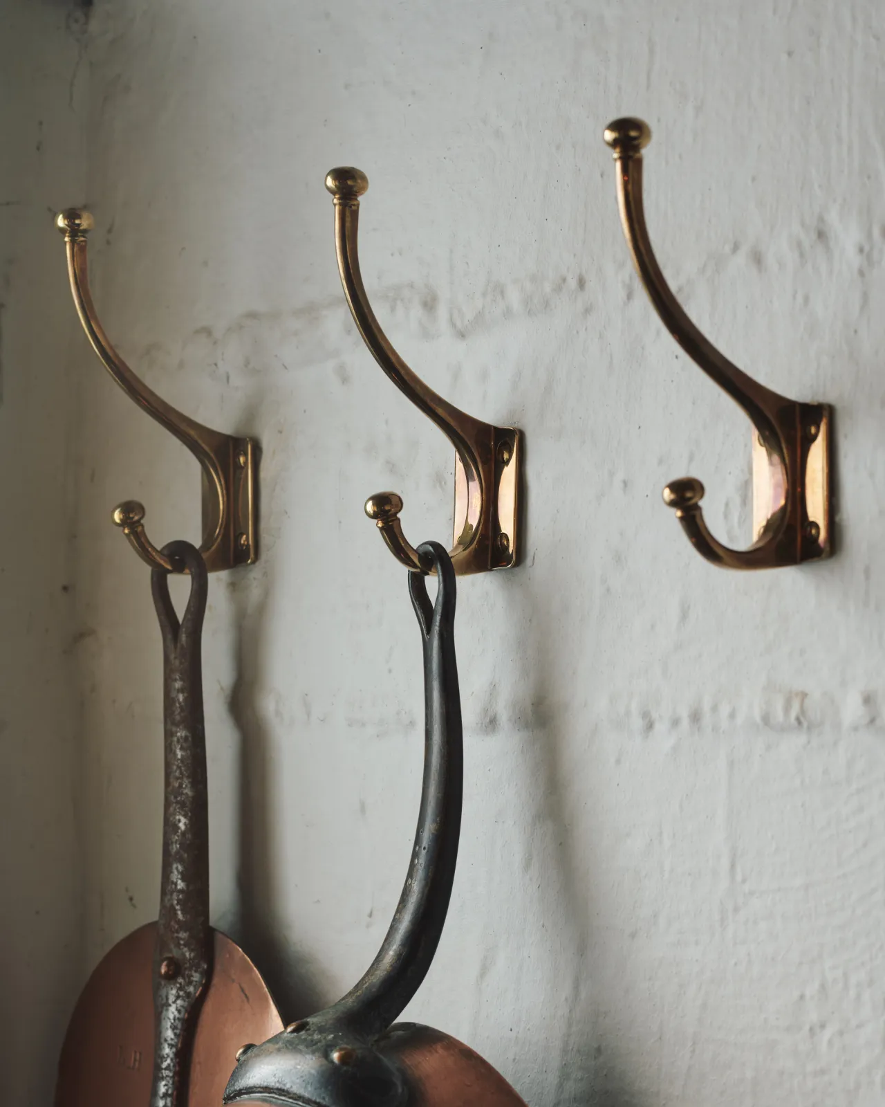 this is only an alt text placeholder.