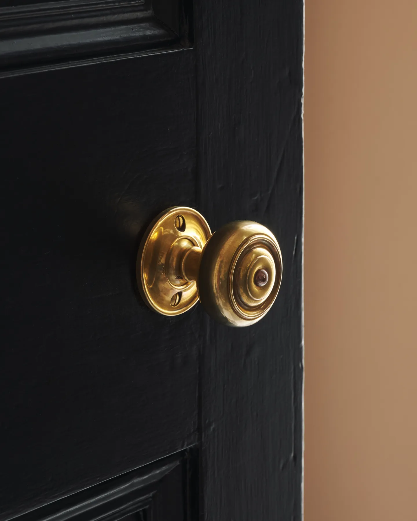 A partial angle of the black door showing the burnished brass knob, capturing its subtle shine against the painted door.