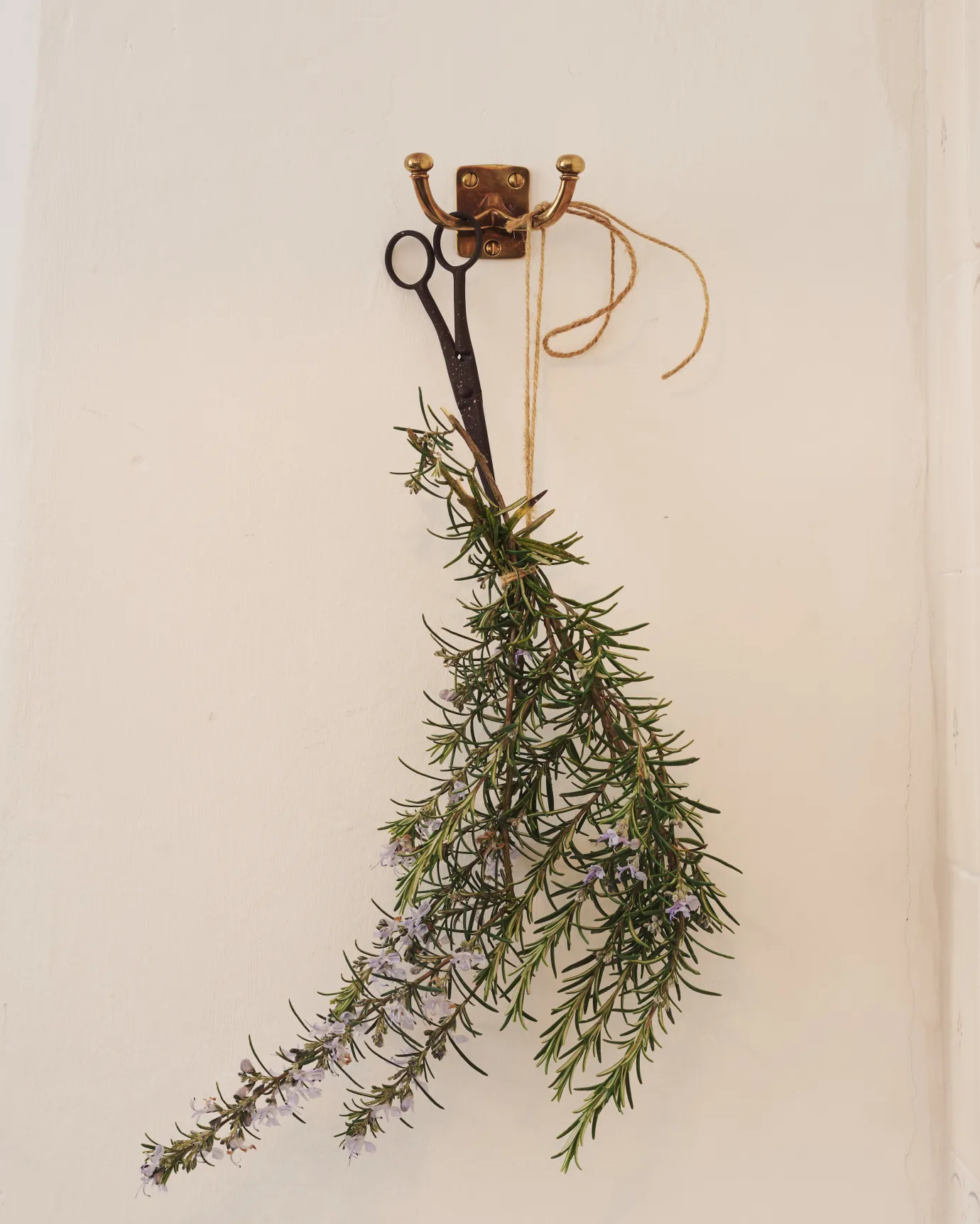 this is only an alt text placeholder.